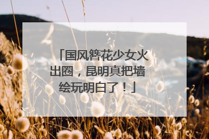 国风簪花少女火出圈，昆明真把墙绘玩明白了！