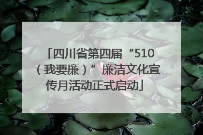 四川省第四届“510（我要廉）”廉洁文化宣传月活动正式启动