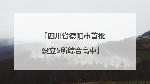 四川省德阳市首批设立5所综合高中