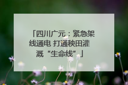 四川广元：紧急架线通电 打通秧田灌溉“生命线”