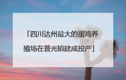四川达州最大的蛋鸡养殖场在普光镇建成投产