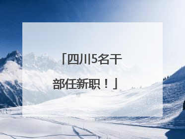 四川5名干部任新职！