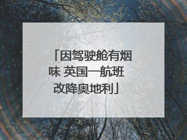 因驾驶舱有烟味 英国一航班改降奥地利