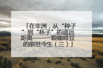 在非洲，从“种子”到“杯子”的遥远距离——一颗咖啡豆的前世今生（三）