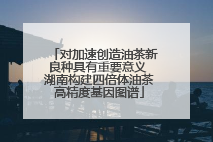 对加速创造油茶新良种具有重要意义 湖南构建四倍体油茶高精度基因图谱
