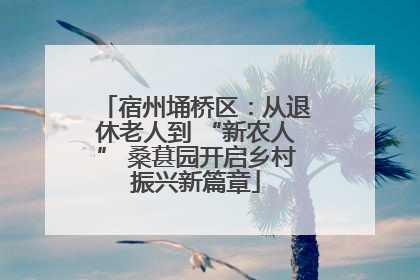 宿州埇桥区：从退休老人到 “新农人” 桑葚园开启乡村振兴新篇章