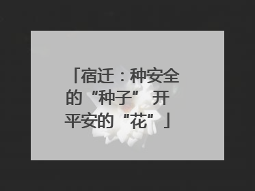 宿迁：种安全的“种子” 开平安的“花”