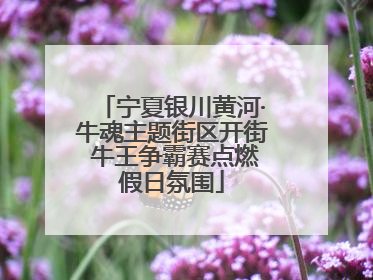 宁夏银川黄河·牛魂主题街区开街 牛王争霸赛点燃假日氛围