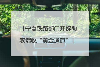 宁夏铁路部门开辟助农增收“黄金通道”