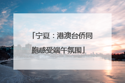 宁夏：港澳台侨同胞感受端午氛围