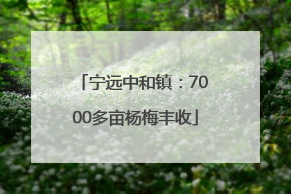 宁远中和镇：7000多亩杨梅丰收