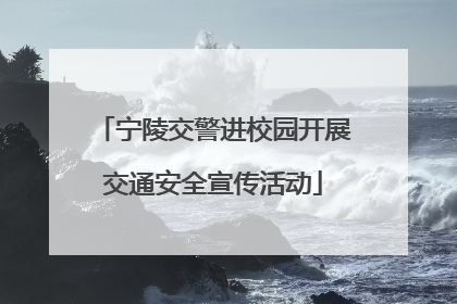宁陵交警进校园开展交通安全宣传活动