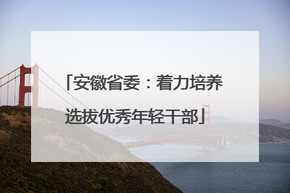安徽省委：着力培养选拔优秀年轻干部