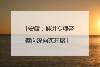 安徽：推进专项督察向深向实开展