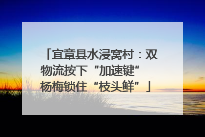 宜章县水浸窝村：双物流按下“加速键” 杨梅锁住“枝头鲜”