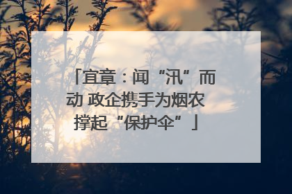 宜章：闻“汛”而动 政企携手为烟农撑起“保护伞”
