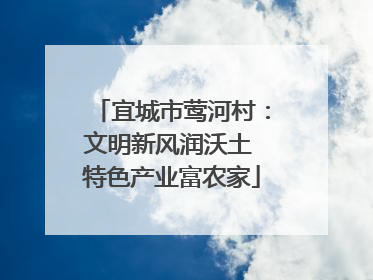 宜城市莺河村：文明新风润沃土 特色产业富农家