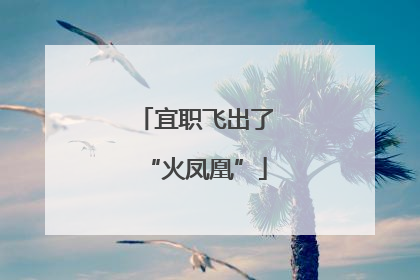 宜职飞出了“火凤凰”
