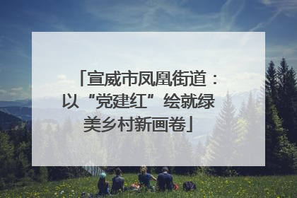 宣威市凤凰街道：以“党建红”绘就绿美乡村新画卷