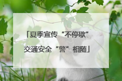 夏季宣传“不停歇” 交通安全“警”相随