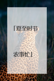 夏至时节农事忙