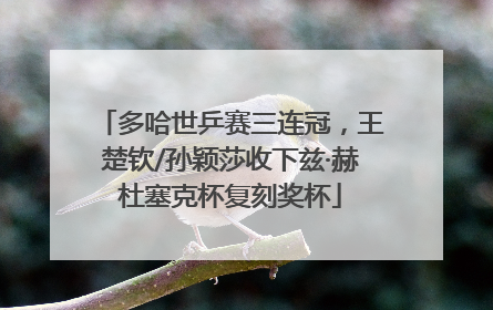 多哈世乒赛三连冠，王楚钦/孙颖莎收下兹·赫杜塞克杯复刻奖杯