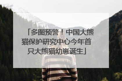 多图预警！中国大熊猫保护研究中心今年首只大熊猫幼崽诞生