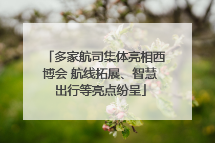 多家航司集体亮相西博会 航线拓展、智慧出行等亮点纷呈