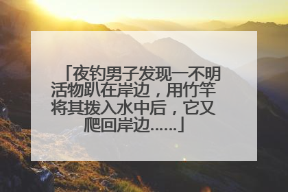 夜钓男子发现一不明活物趴在岸边，用竹竿将其拨入水中后，它又爬回岸边……