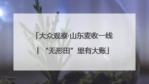 大众观察·山东麦收一线丨“无形田”里有大账