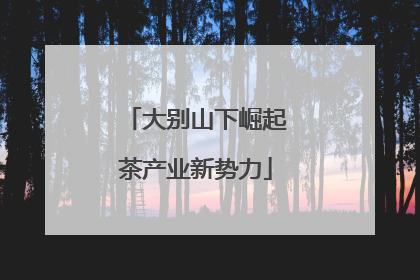 大别山下崛起茶产业新势力