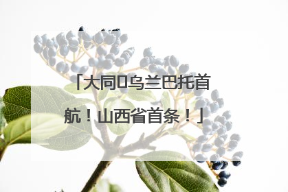大同⇌乌兰巴托首航！山西省首条！