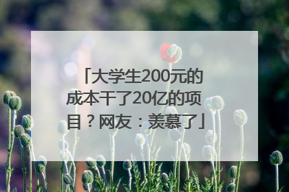 大学生200元的成本干了20亿的项目？网友：羡慕了