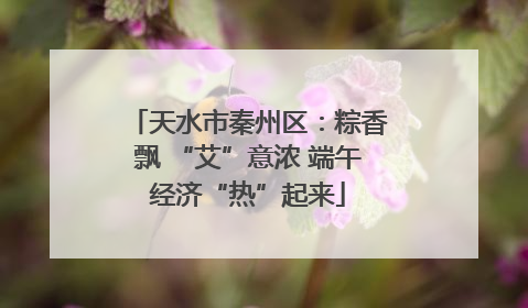 天水市秦州区：粽香飘 “艾”意浓 端午经济“热”起来