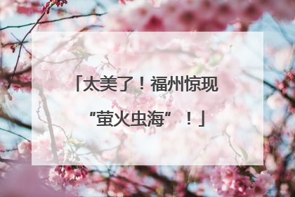 太美了！福州惊现“萤火虫海”！