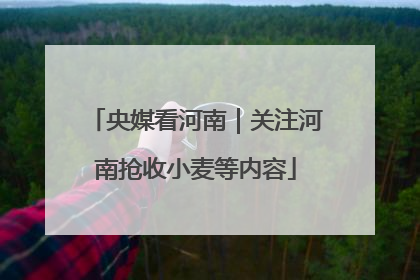 央媒看河南｜关注河南抢收小麦等内容