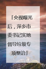 央视曝光后，萍乡市委书记实地督导垃圾专项整治