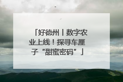 好德州丨数字农业上线！探寻车厘子“甜蜜密码”