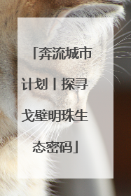 奔流城市计划丨探寻戈壁明珠生态密码