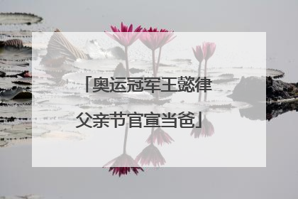 奥运冠军王懿律父亲节官宣当爸