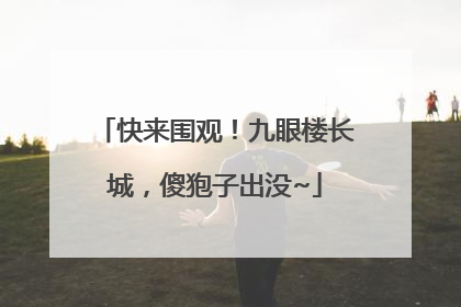 快来围观！九眼楼长城，傻狍子出没~