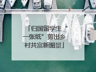 归国留学生“一张纸”剪出乡村共富新图景