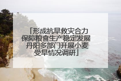 形成抗旱救灾合力 保障粮食生产稳定发展 丹阳多部门开展小麦受旱情况调研