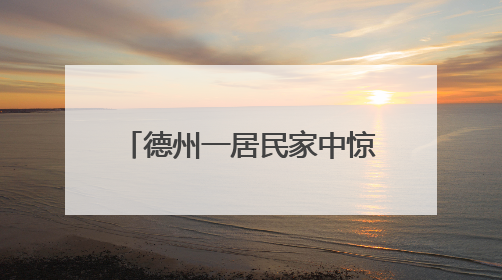 德州一居民家中惊现“不速之客” 消防员化身“捕蛇专家”快速处置