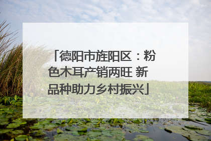 德阳市旌阳区：粉色木耳产销两旺 新品种助力乡村振兴