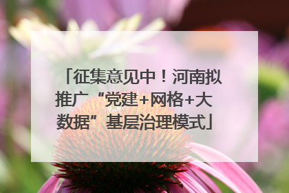 征集意见中！河南拟推广“党建+网格+大数据”基层治理模式