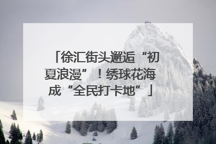 徐汇街头邂逅“初夏浪漫”！绣球花海成“全民打卡地”
