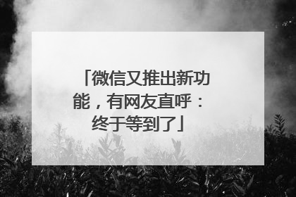 微信又推出新功能，有网友直呼：终于等到了