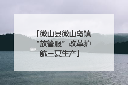 微山县微山岛镇“放管服”改革护航三夏生产
