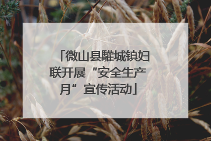 微山县驩城镇妇联开展“安全生产月”宣传活动
